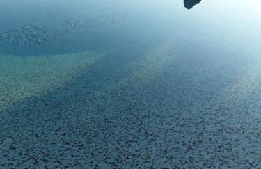 Agriturismo Cascina Knec - Photo 37