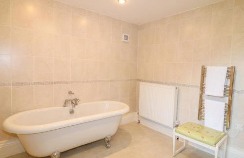 Forget-me-not - Foto 14