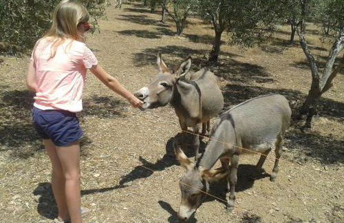 Nurazzolas - Foto 34