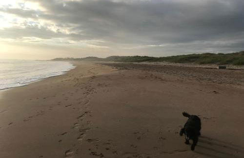 Luxury Caravan Cresswell - Photo 19