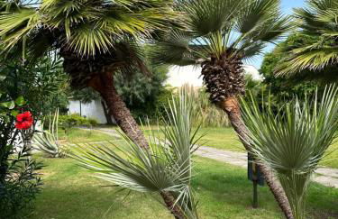 Ossidiana Rossa Elegant Suite Vulcano - Foto 39