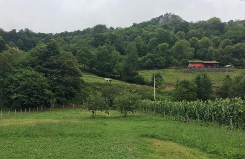 La casita de Olivia Espinaredo - Foto 56