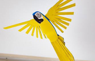 Assista o Círio de Nazaré de camarote - Foto 43