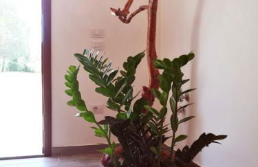 Sonnellino in Maremma - Foto 47