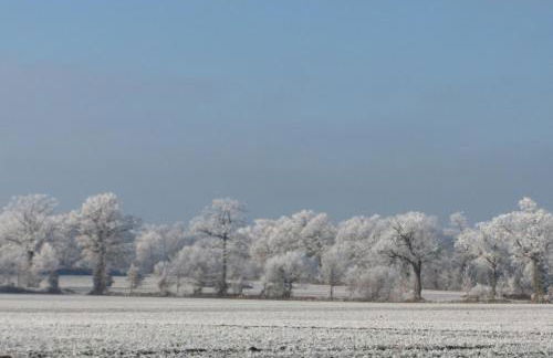 Holiday home Le Pressoir - Foto 59