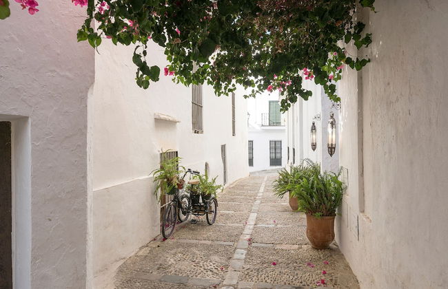 Pura Vida in Vejer de la Frontera - Photo 29