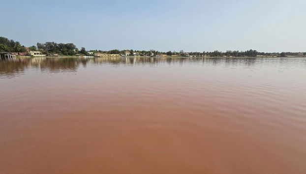 Excursión privada a la Reserva de Bandia y Lago Rosa - Foto 4, ¡Será un viaje inolvidable!