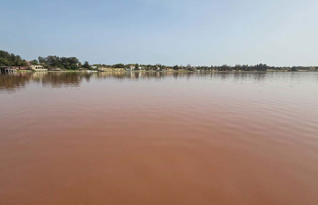 Excursión privada a la Reserva de Bandia y Lago Rosa - Foto 4