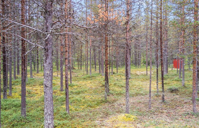 Elnan tupa - Photo 16