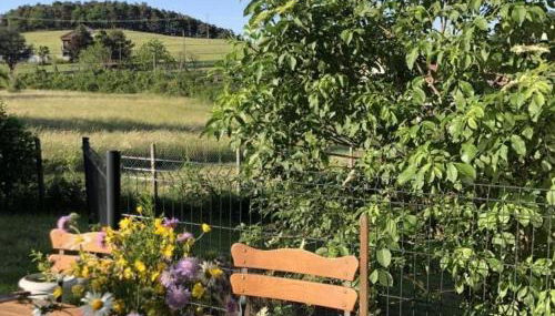 Maison lumineuse avec jardin clos et cheminée, idéale pour familles et amis - FR-1-496-195 - Foto 4