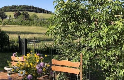 Maison lumineuse avec jardin clos et cheminée, idéale pour familles et amis - FR-1-496-195 - Foto 4