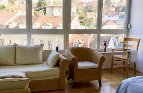 Spacious 3BR/2BT Apartment with A/C in City Center - Photo 8