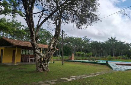 Chácara Celebrare - Photo 4