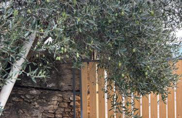 Dreamy Cottage - Photo 39