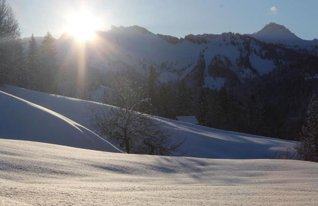 Dog-friendly Chalet in Bregenzerwald - Photo 31