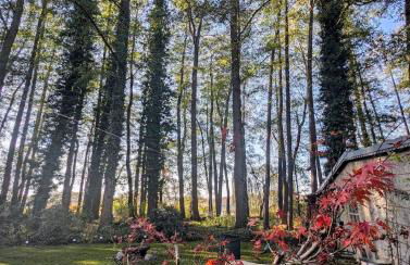 Modern bungalow with direct lake access and fireplace - Photo 21