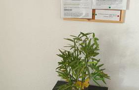 My Beach Haven - Photo 63