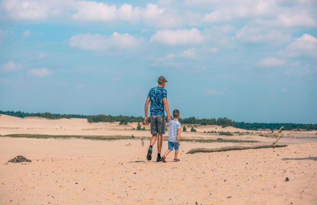 Modern Chalet With Combi Microwave Near Efteling - Photo 39