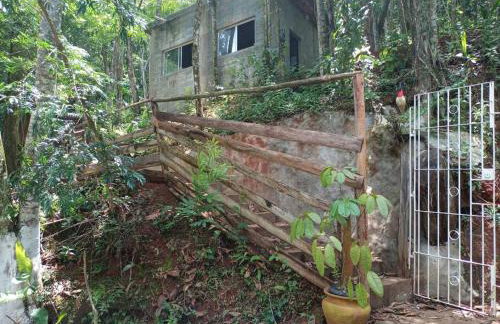 Chalé Refúgio dos Aventureiros Mata Atlântica - Foto 36