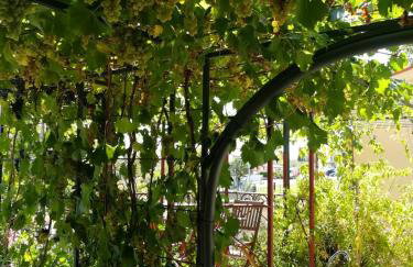 SUMMER TIME - Photo 31