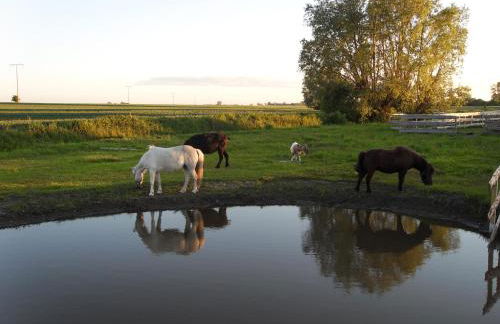 Horse Lake Ranch - Foto 11