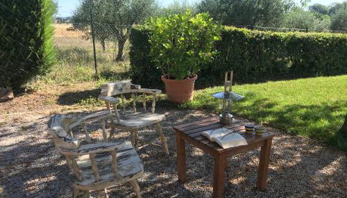 Country Suite Home - Photo 5