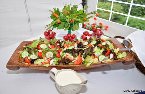 Domy Konesera - Foto 8