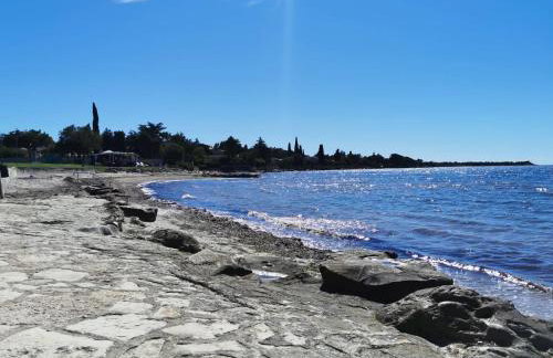 App Palčić K - Photo 19