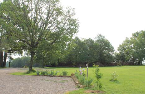 Gîtes à l'ombre des chênes - Foto 3