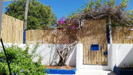 16 Casa Azul - Foto 1