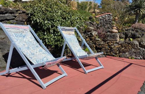 Lobo do Mar - Photo 33