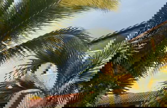 Altos de agua blanca - Photo 31