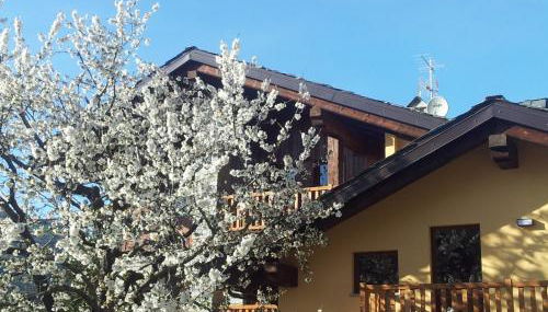 La Vigne de Papagran - Foto 5