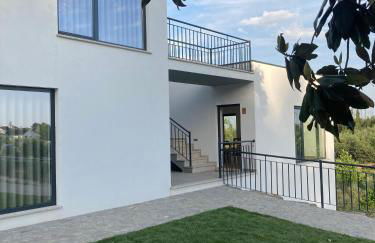 Quintinha Silvestre - Foto 43