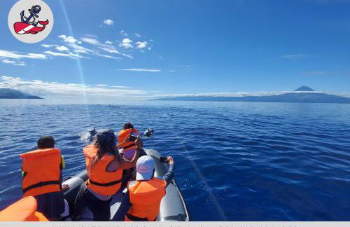 São Jorge Holiday Homes - Photo 32