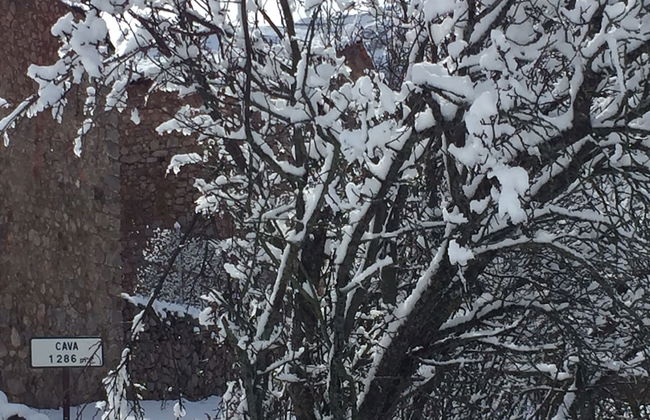 Cal Baridà - Foto 54