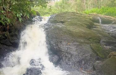 Sitio Lady Laura Biritiba Ussu Mogi - Foto 11