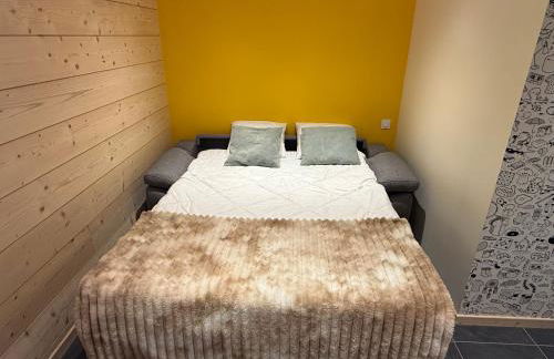 CHALET LES 2 MARMOTTES 4 étoiles Bain nordique, Pétanque - Foto 27