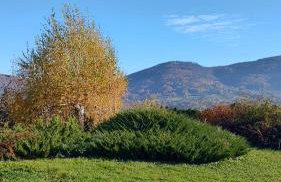 Dom lub apartamenty z widokiem na góry Wichrowe Wzgórza z basenem Brenna - Foto 18