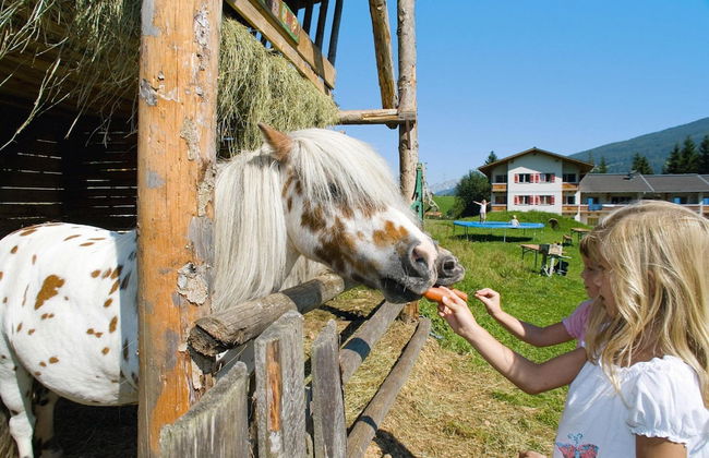 Apartment House Isegrim, Altenmarkt - Foto 11