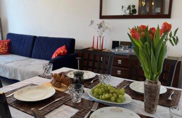 Apartament -Jak w domu- Czeladź 60m2 Centrum Katowic 10km - Foto 1