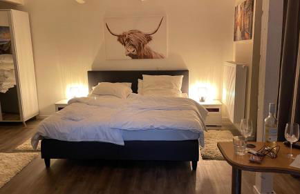 OASE im grünen Hinterhof, EG, Ruhe, Terrasse, Carport, free PayTV, Kaffee&Tee, Fahrräder - Foto 44