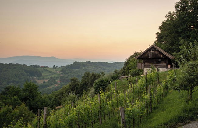 Vineyard Cottages Škatlar - Foto 17