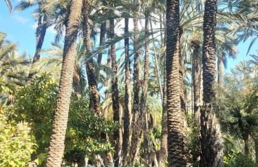 Salvador House II - Foto 22