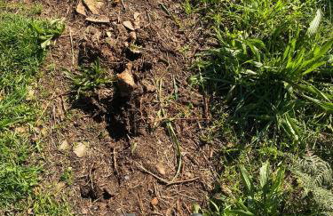 Casa-Manaus - Foto 5