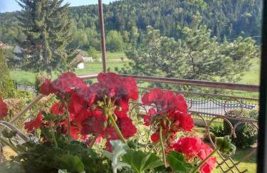 Dom z ogrodem w malowniczej okolicy Bieszczady - Foto 27