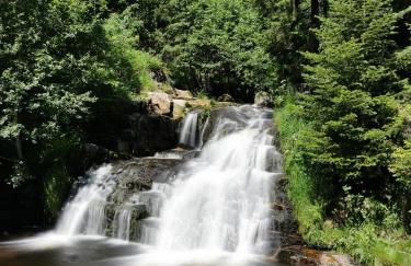 Haus Weitblick - Fewo Herzogenhorn - Bernau, Schwarzwald - Foto 14