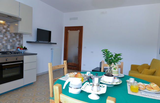 Sofia flora - Photo 40