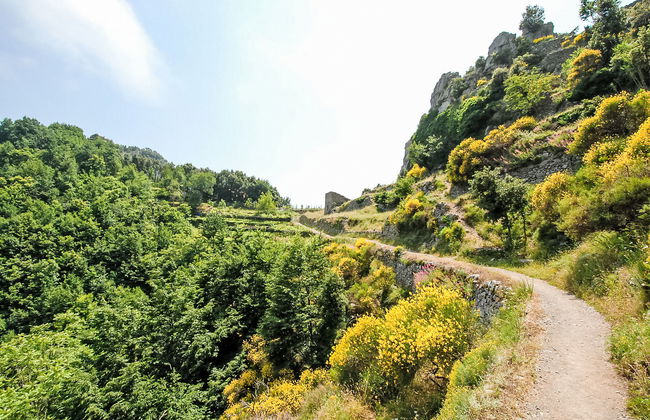 Dea Afrodite - Foto 20