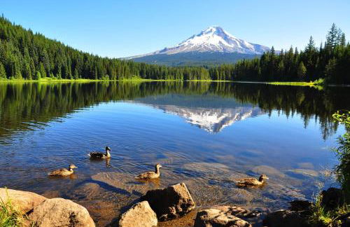 Tamanawas Cabin - Foto 49